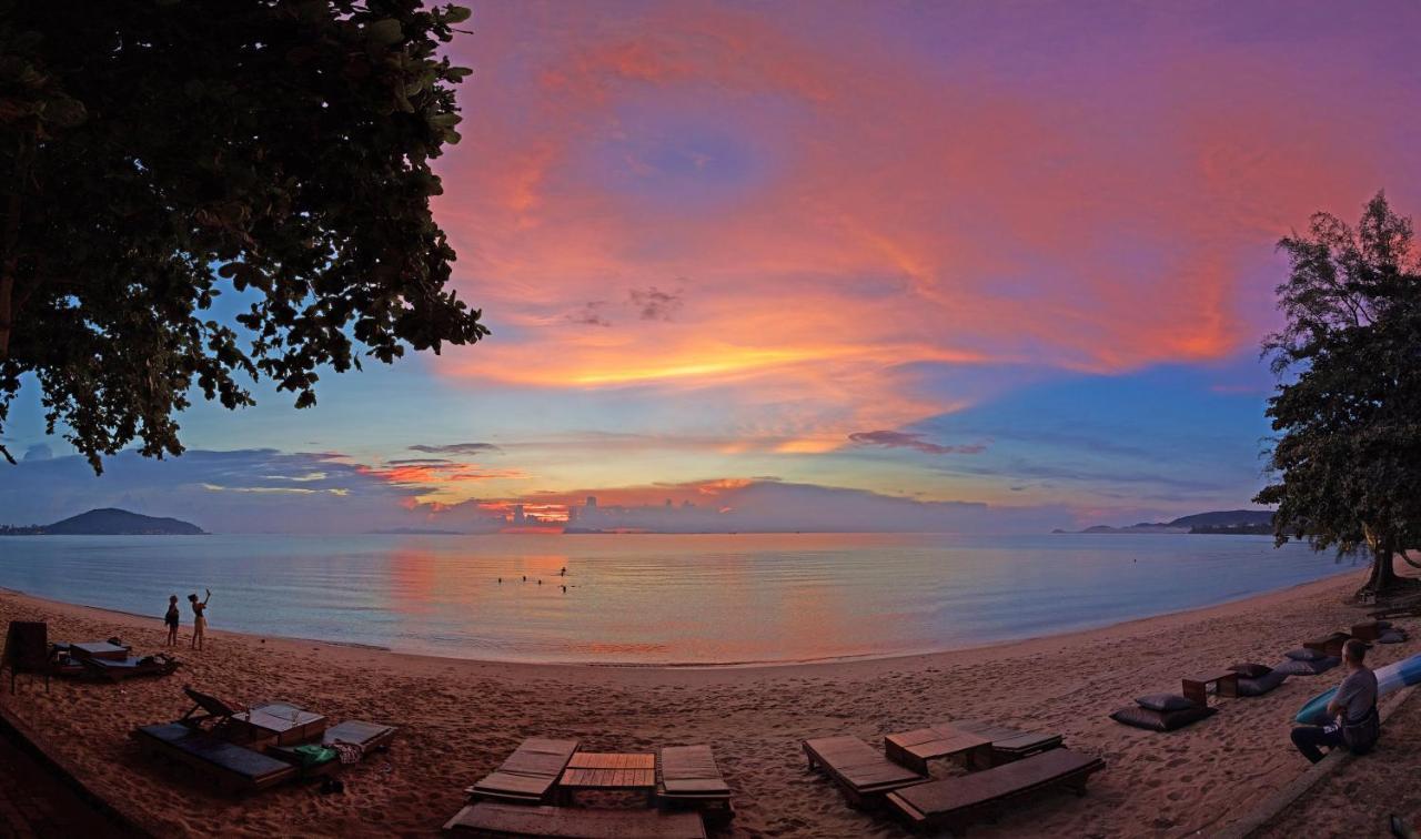 Satva Samui Yoga And Wellness Resort Amphoe Koksamui Dış mekan fotoğraf